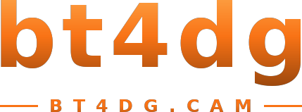 bt4dg logo